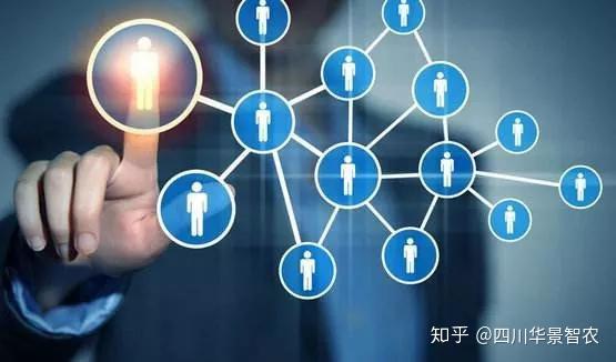 產學研融合新探索 西南交通大學王建瓊教授一行調研四川華景智農網絡技術服務