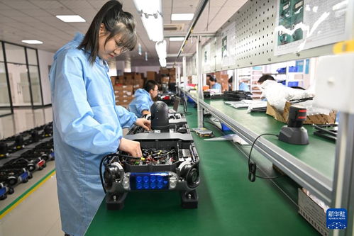 哈爾濱新區 技術服務涌動創新熱潮，引領產業振興