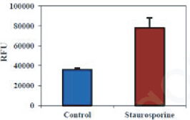 BBI細胞組學產品秋冬促銷火熱開啟，放開價勢無需再等
